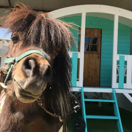 Hearts & Ponies Apartamentos Con Piscinas Privadas Cerca De La Warner Chinchon Exterior photo